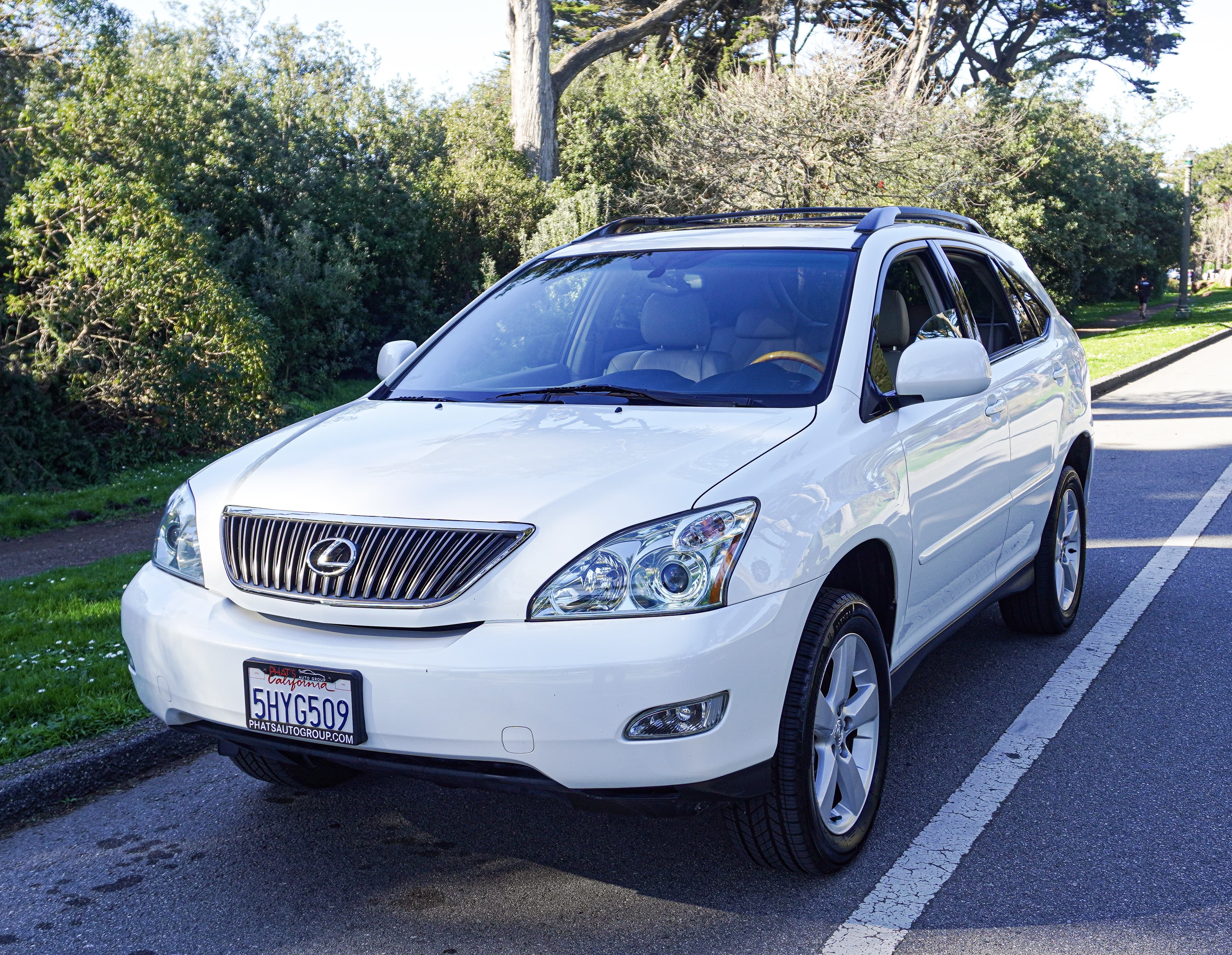 Lexus RX330 paint polishing results