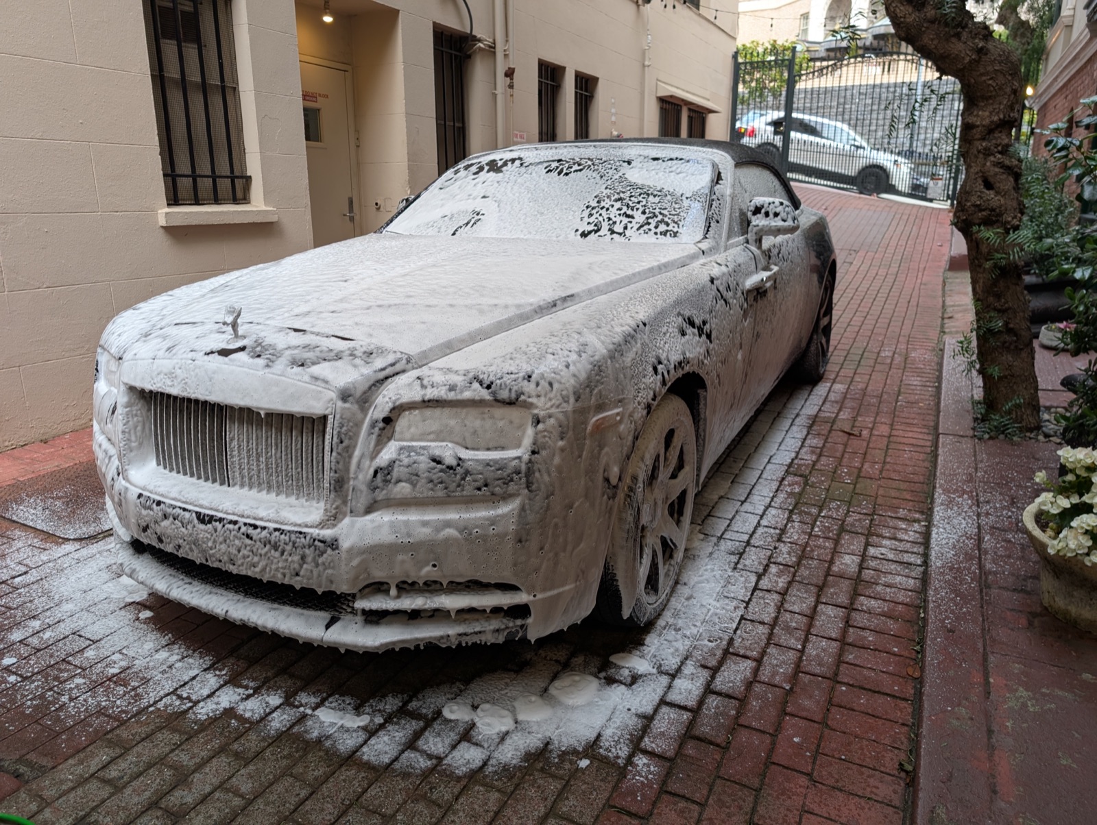 Rolls-Royce - Professional detailing by Golden Bay